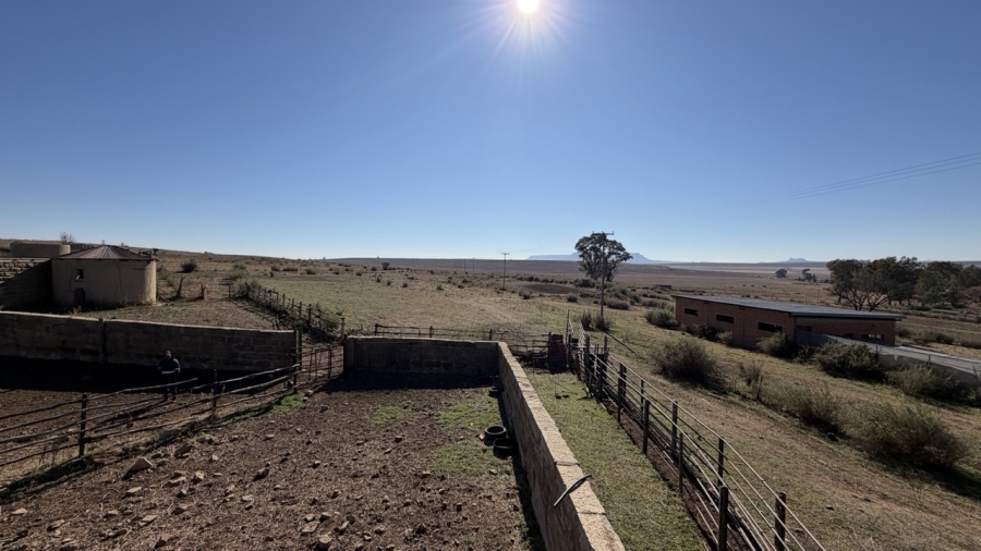 Commercial Property for Sale in Senekal Free State